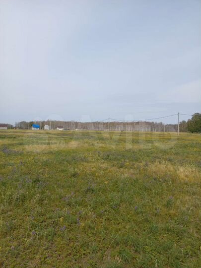 Участок 15 сот. (ИЖС)