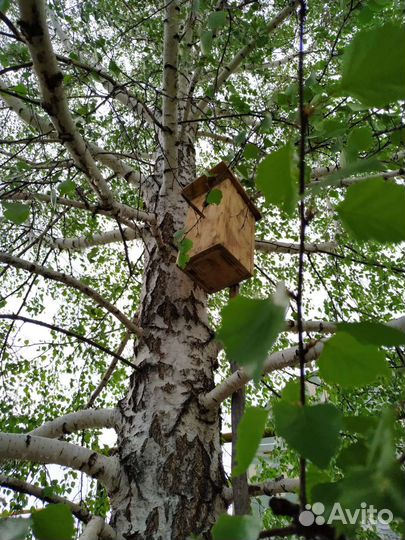 Скворечник, синичник, домики для птиц