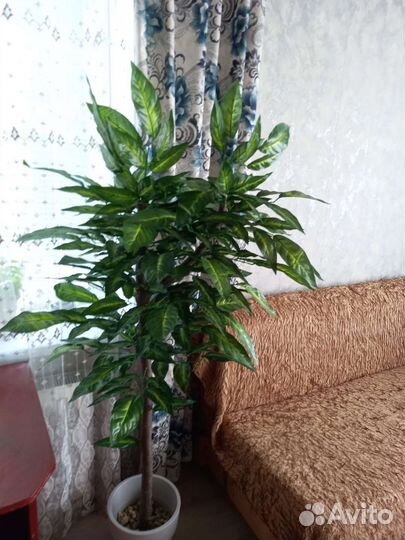 Декоративное дерево