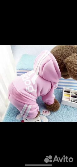 Комбинезон для собаки или кошки