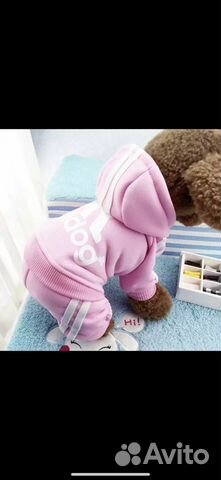 Комбинезон для собаки или кошки