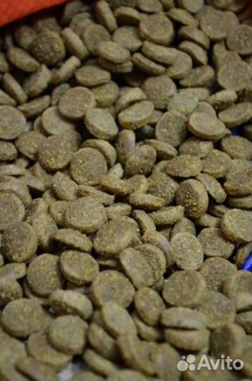 Besar Dog Корм Для Собак Крупных Пород