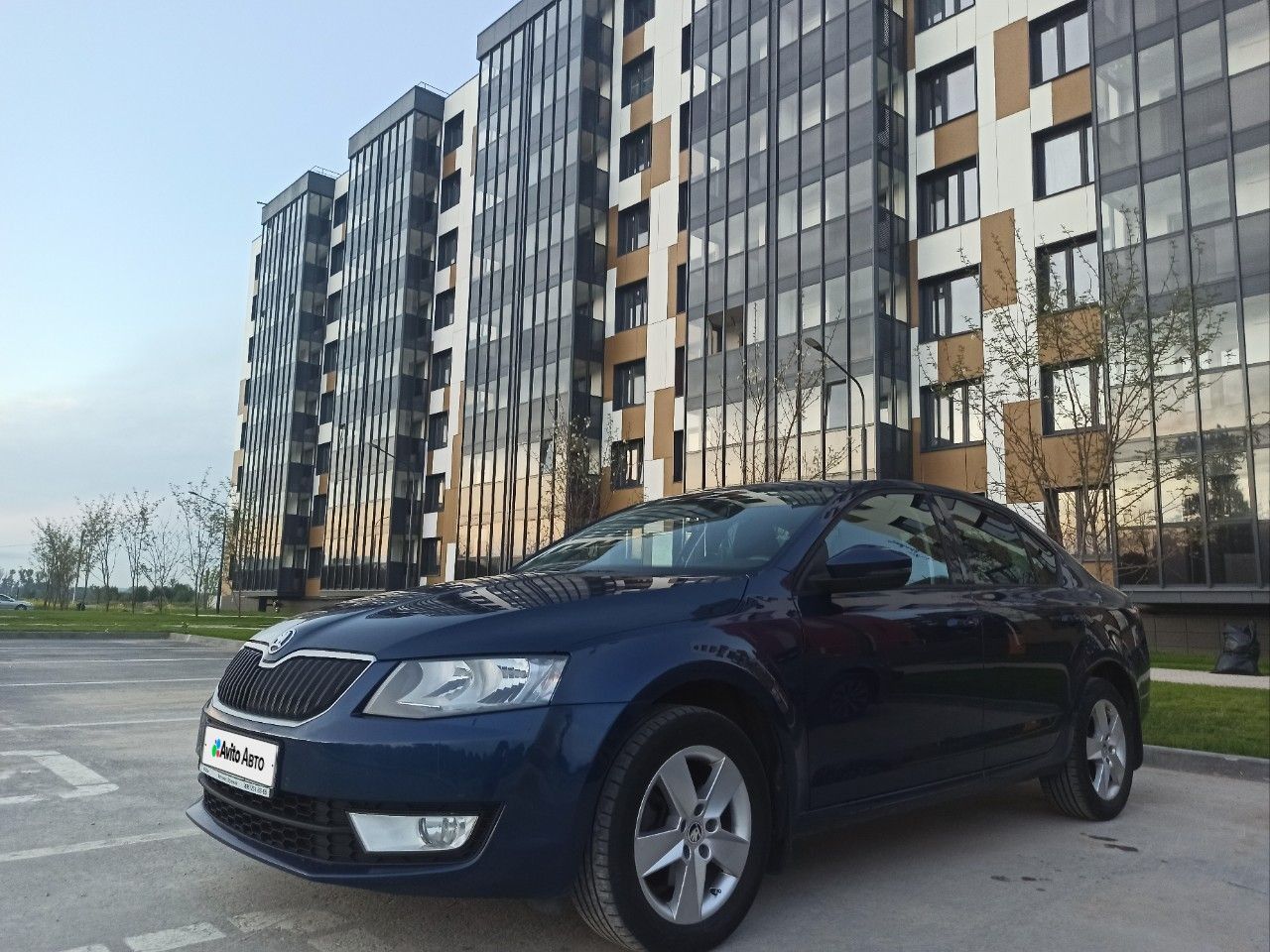 Skoda Octavia: фото из отзыва