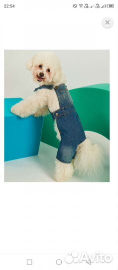 Одежда для собак и кошек новая