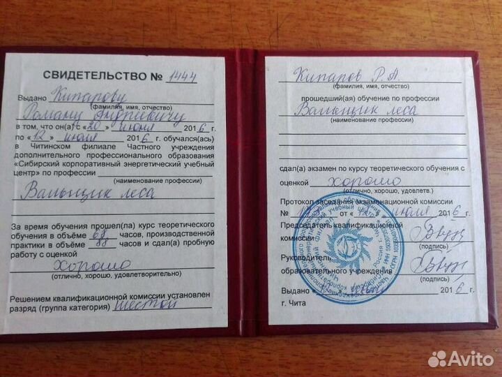 Арборист Чита.Спил,обрезка деревьев,живой изгороди