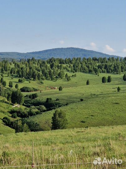 Ферма(1000га)собственник