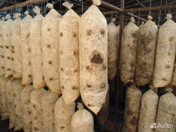 Грибные блоки для удобрения