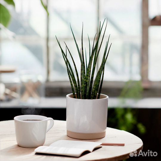 Кашпо горшок для цветов IKEA Уппвакта новое