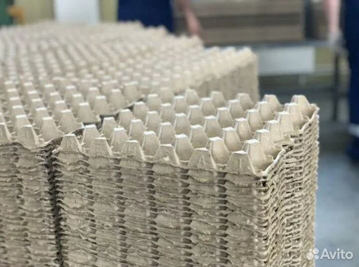 Лотки для яиц