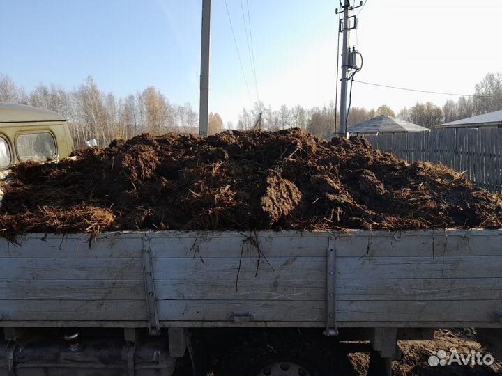 Навоз коровий