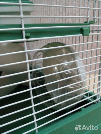 Клетка для джунгарского хомяка