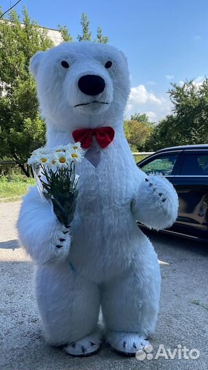Белый мишка поздравление аниматор