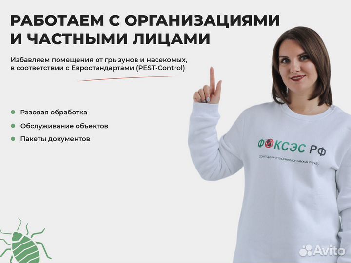 Уничтожение клопов фиксированная цена