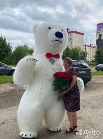 Белый мишка поздравление