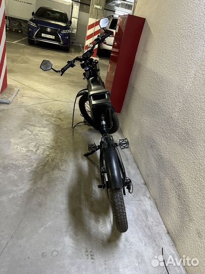 Denzel Sparta/Samurai