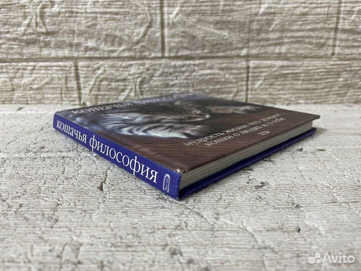 Кошачья философия. Мудрость жизни