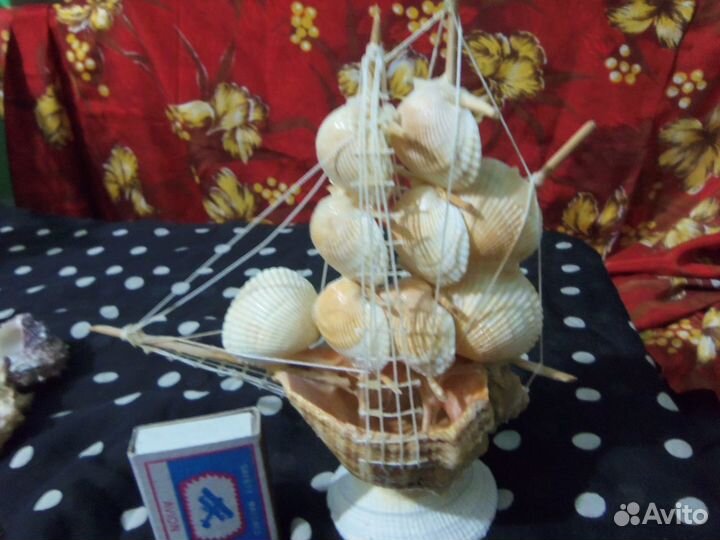 Морские ракушки