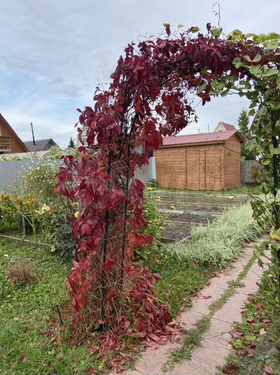 Дача 26 м² на участке 4,4 сот.