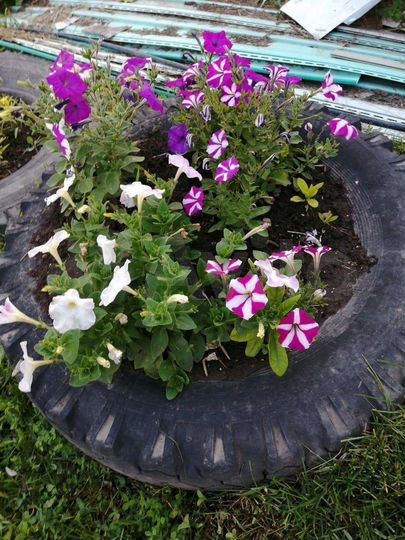 Участок 18 сот. (ИЖС)