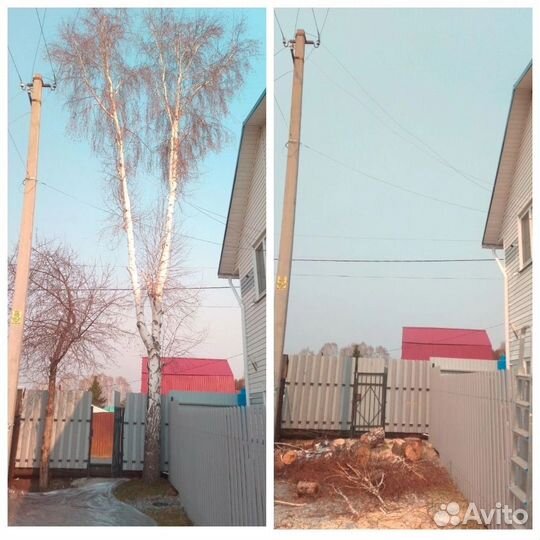Спил деревьев расчистка участка