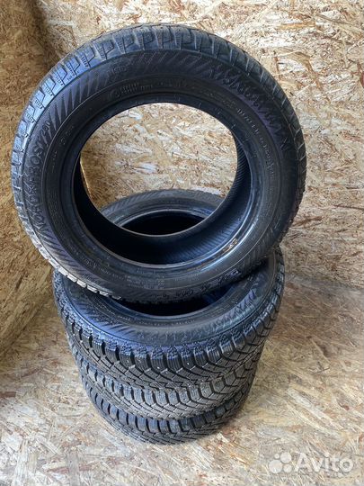 Gislaved Nord Frost 200 175/65 R14