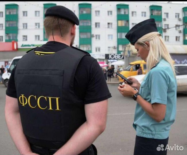 Снятие арестов, помощь в делах по алиментам