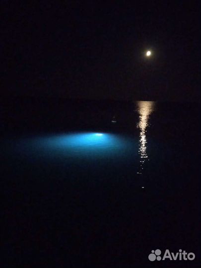 Поиск украшений в воде и на суше металлоискателем