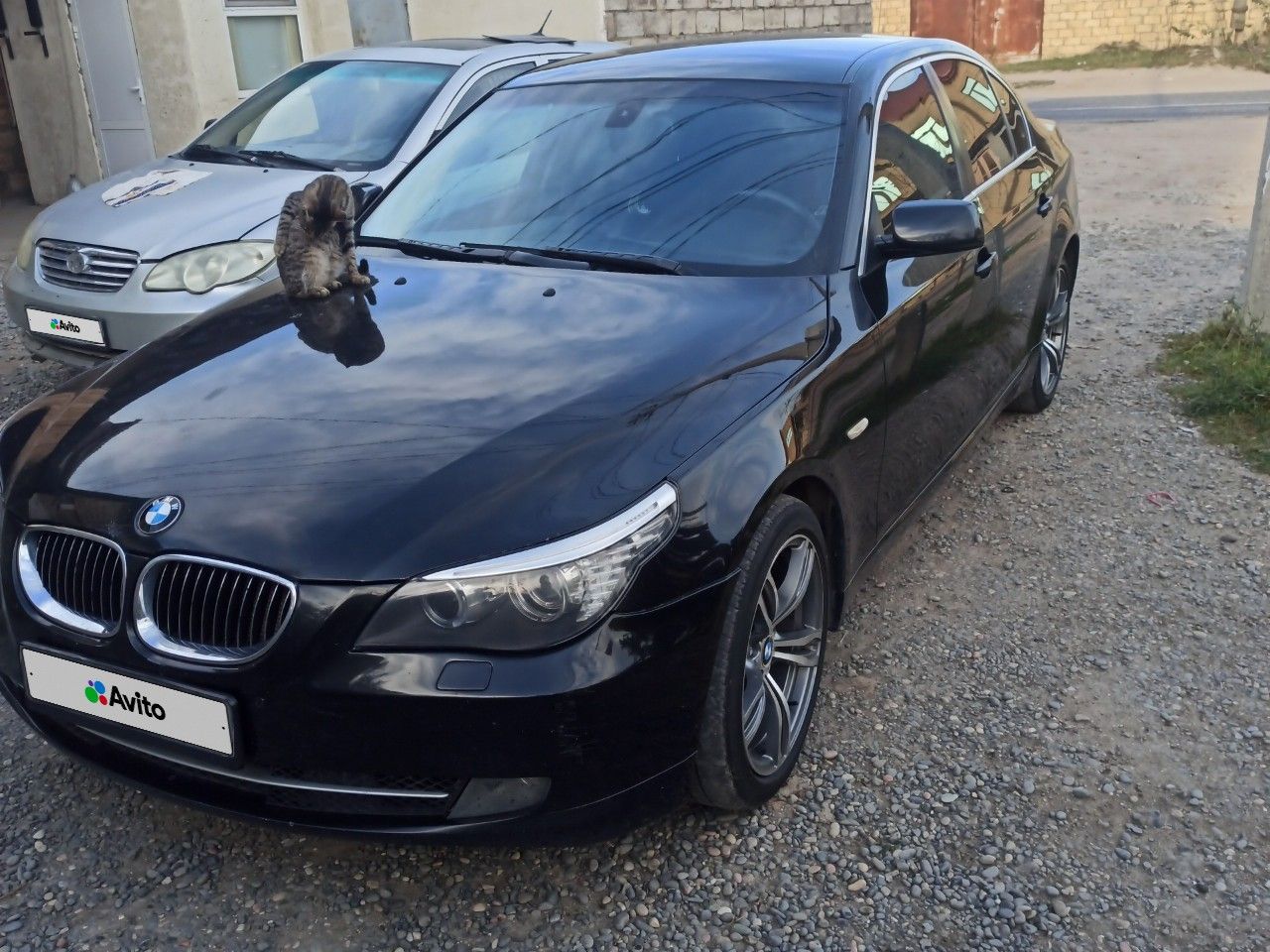BMW 5 серия: фото владельца