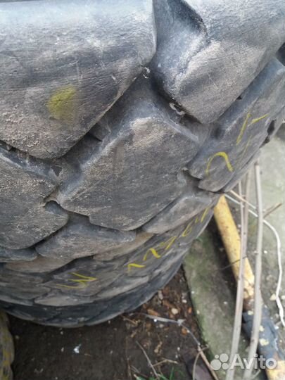 Accelera 10 R16.5