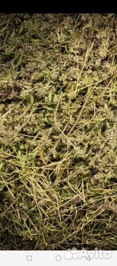 Чабрец сушеный, в упаковке 650 грамм