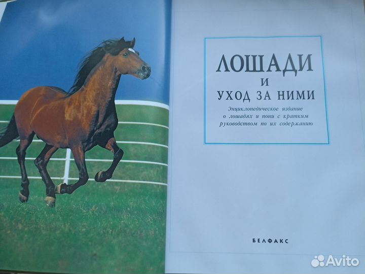 Энциклопедия Лошади и уход за ними