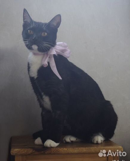 Белые носочки и нежная душа Лилу