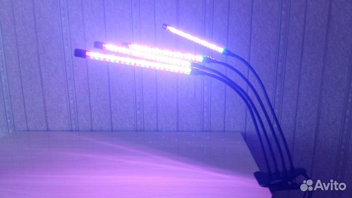 Фитолампа для растений, фитосветильник для рассады