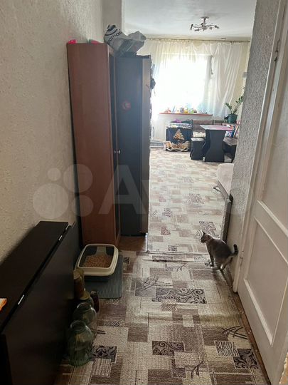 2-к. квартира, 65,2 м², 1/2 эт.