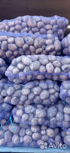 Фермерские продукты