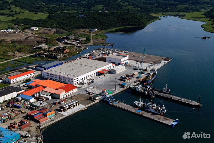 Обработчик рыбы на Крабозаводск