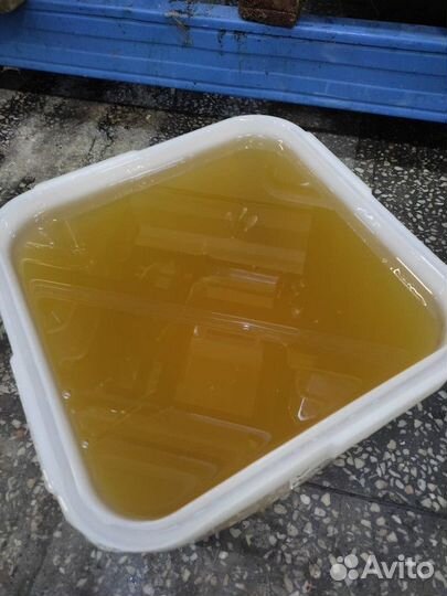 Свежий мед липа оптом