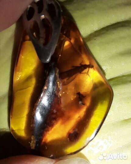 Исклюз в янтаре серебро