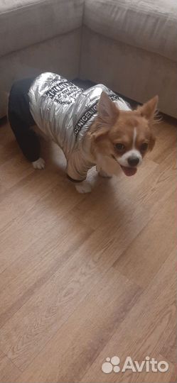 Зимняя куртка для собак средних пород
