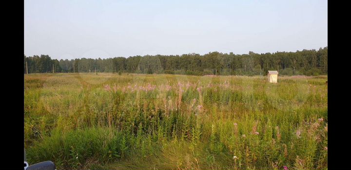 Участок 10 сот. (СНТ, ДНП)