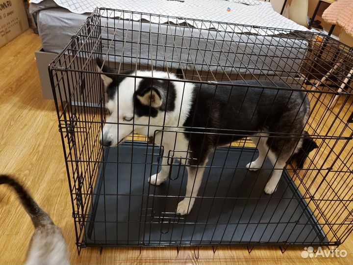 Клетка для собак