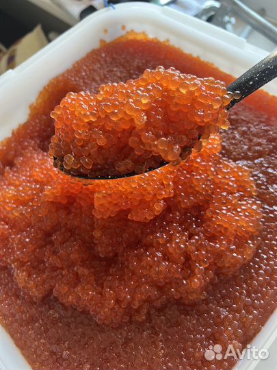 Икра Горбуши 2023