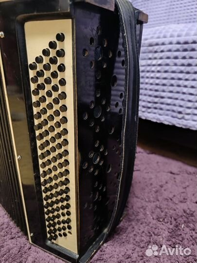 Баян ленинград