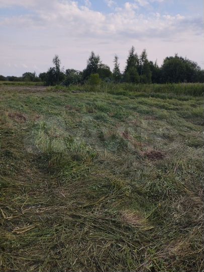 Участок 29,6 сот. (ИЖС)