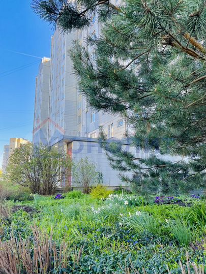 2-к. квартира, 58,7 м², 12/12 эт.