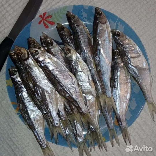 Уклейка Донская (Себель)