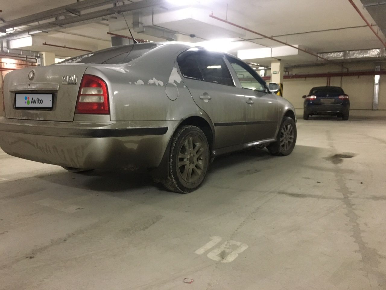 Skoda Octavia: фото владельца