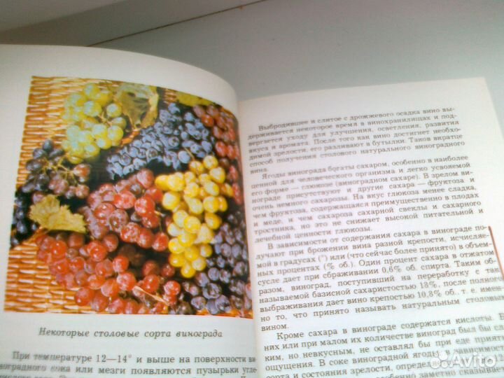 О винограде и вине М.А.Пелях