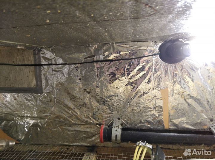 Брудер для цыплят