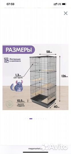 Шиншилла с клеткой